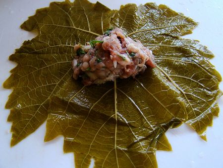 Hur man lagar dolma hemma Hur man lagar dolma hemma