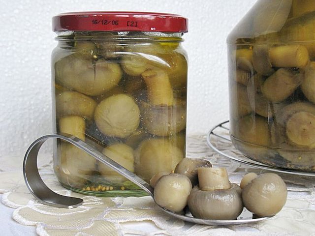 Marinerad mushroom för vintern, klassiskt recept Marinerad mushroom för vintern, klassiskt recept
