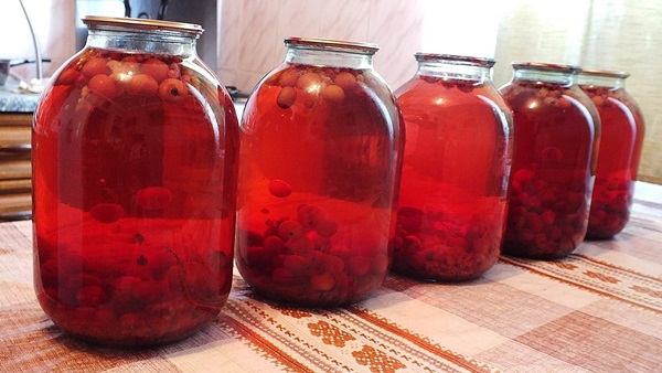 Komposit från chokeberry ashberry