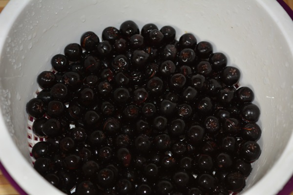 Komposit från chokeberry ashberry