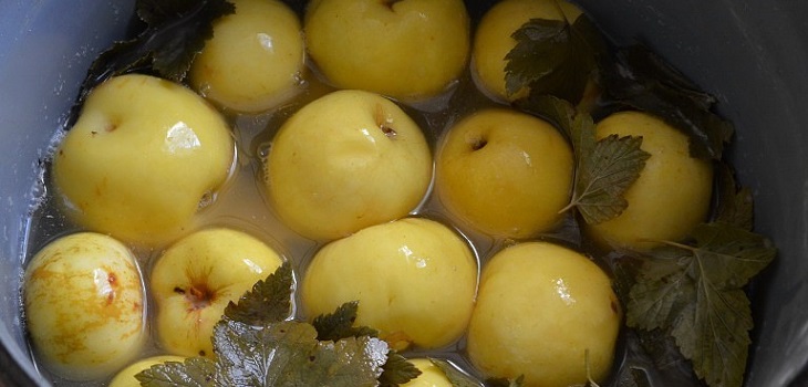 Recept för våta äpplen