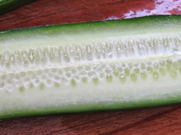 Enkla recept för konservering av gurkor för vintern utan vinäger