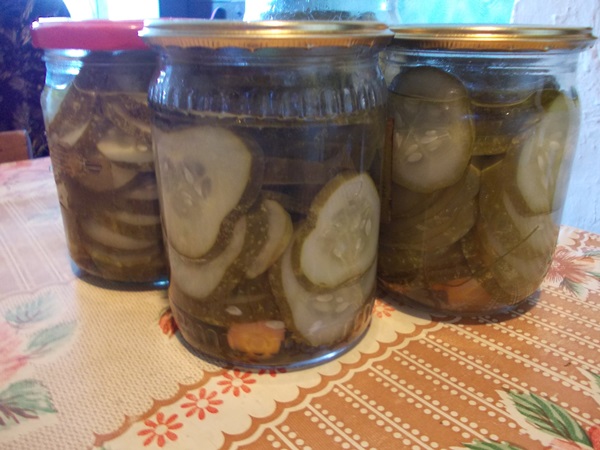 Smakiga gurkor med vitlök på vintern