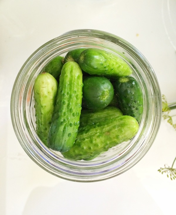 Smakiga gurkor med vitlök på vintern