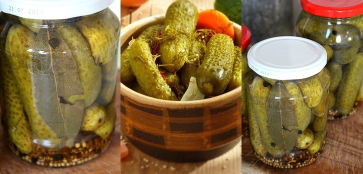 Gurkor med senap för vintern i burkar, recept med foto
