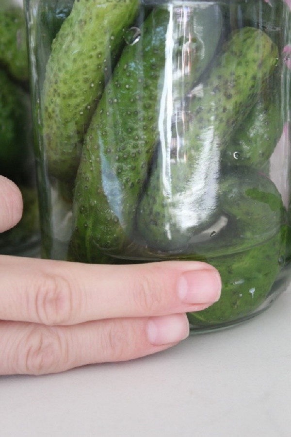 Gurkor med senap för vintern i burkar, recept med foto