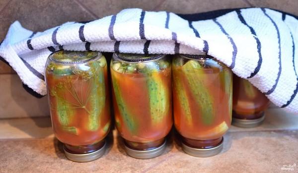 Gurkor med ketchup för vintern - utan sterilisering, i burkar. Skörda för vinterskarp och krispig gurka med ketchup chili