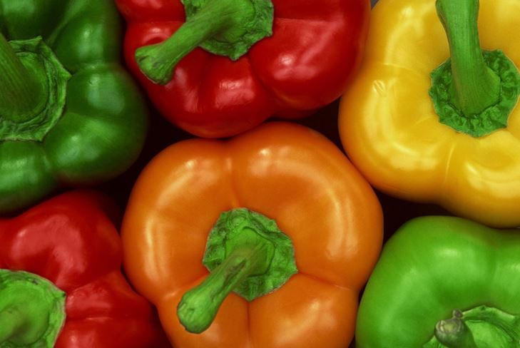 Peppar i tomatsås för vinter - foto recept