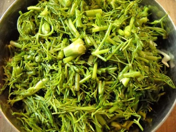 Post recept