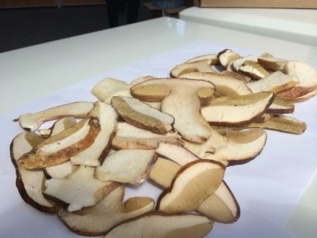 Receptet på soppa från torkade svampar, dess användbara egenskaper