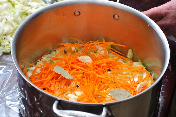 Recept från kål till vintern: goda sallader, räkor utan vinäger, med aspirin, utan sterilisering
