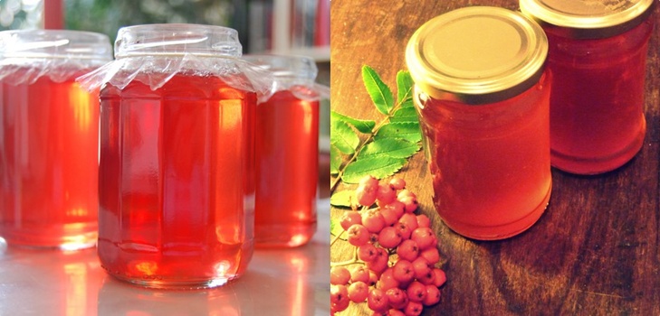 Rowan för vintern: recept för rätter från den vanliga röda och svarta chokeberry