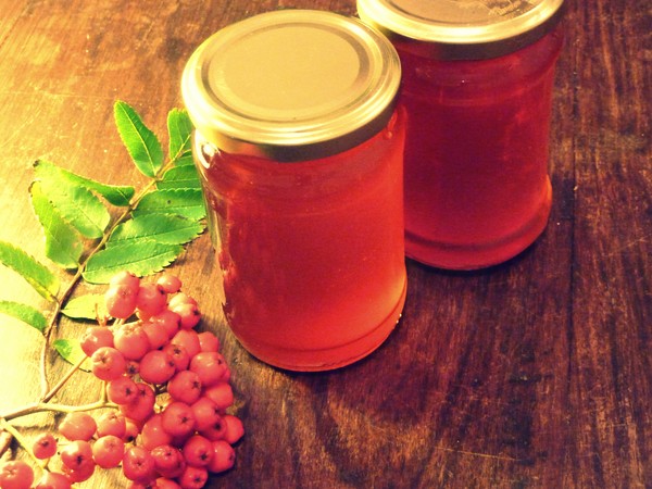 Rowan för vintern: recept för rätter från den vanliga röda och svarta chokeberry