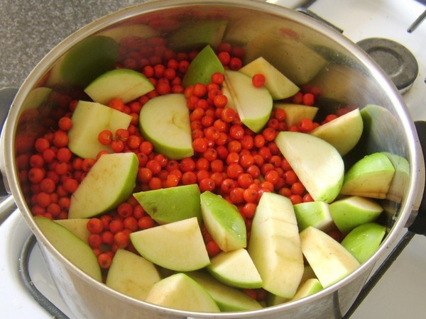 Rowan för vintern: recept för rätter från den vanliga röda och svarta chokeberry