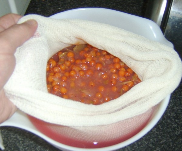 Rowan för vintern: recept för rätter från den vanliga röda och svarta chokeberry