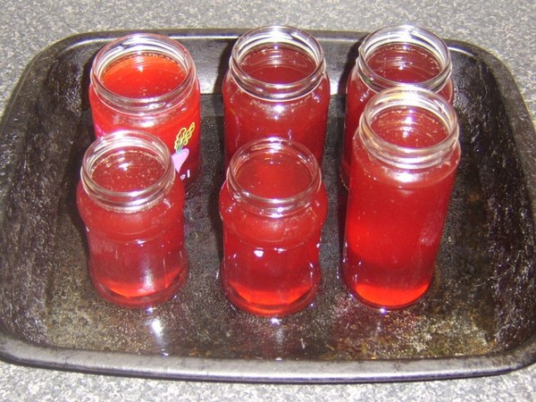 Rowan för vintern: recept för rätter från den vanliga röda och svarta chokeberry