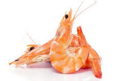 Avokadosallad med räkor