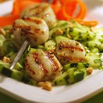 Sallad av kammusslor