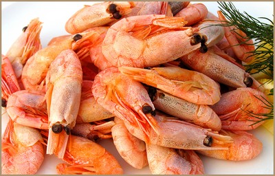 Räkor och bläckfisk sallad