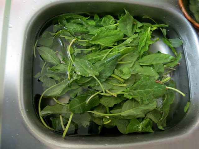 Hur man rullar sorrel för vintern utan salt Hur man rullar sorrel för vintern utan salt
