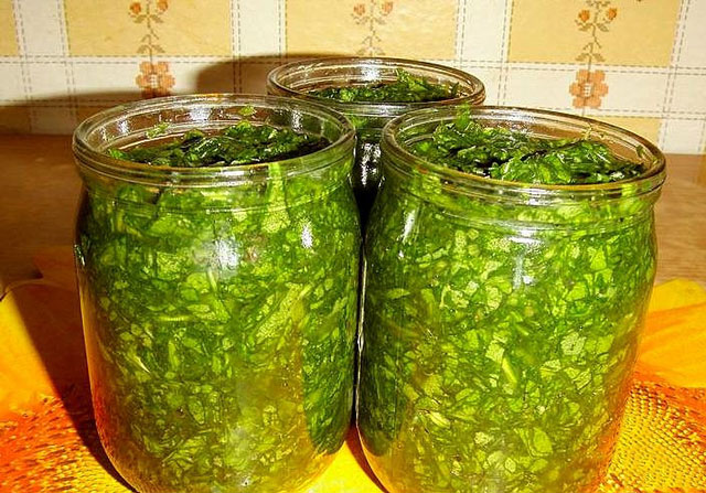 Hur man rullar sorrel för vintern med salt Hur man rullar sorrel för vintern med salt