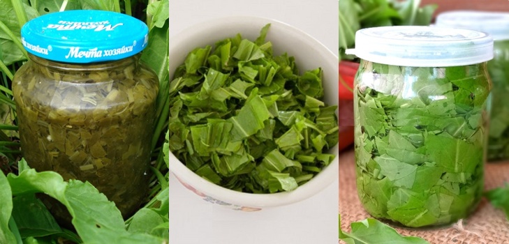 Grönläkare: De bästa hemlagade recepten från sorrel