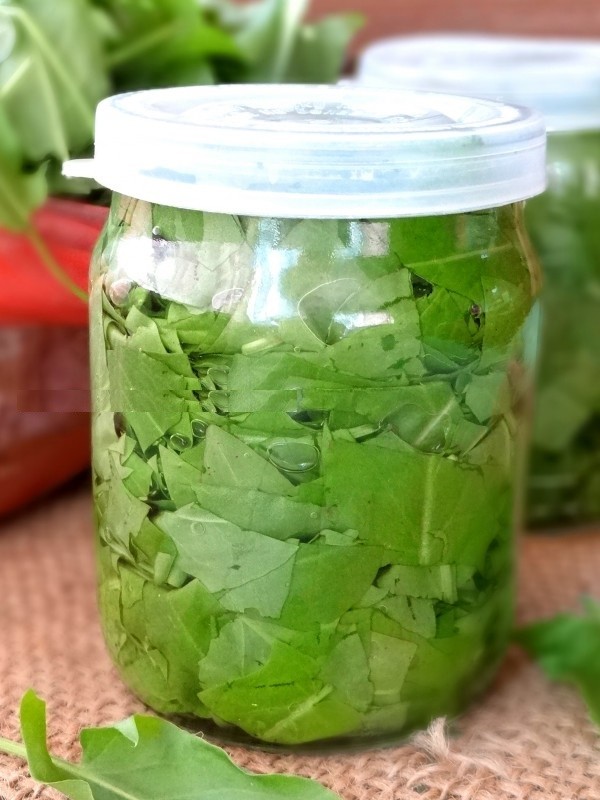 Grönläkare: De bästa hemlagade recepten från sorrel
