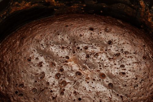 Chokladmuffin i multivarquet - snabb recept med foto