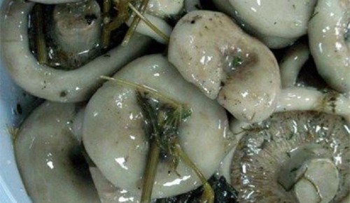 Rosiner för vintern: läckra och enkla matlagningsrecept