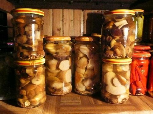 Råg: enkla och läckra matlagningsrecept