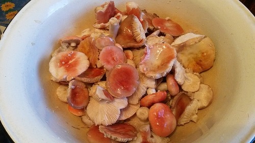Råg: enkla och läckra matlagningsrecept