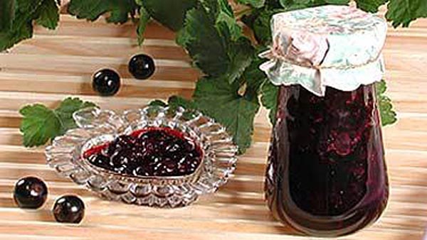 Vin med socker för vintern utan att laga mat, Pyatiminutka, frusen. Currant recept, riven med socker för vinter (utan kylskåp) Vin med socker för vintern utan att laga mat, Pyatiminutka, frusen. Currant recept, riven med socker för vinter (utan kylskåp)