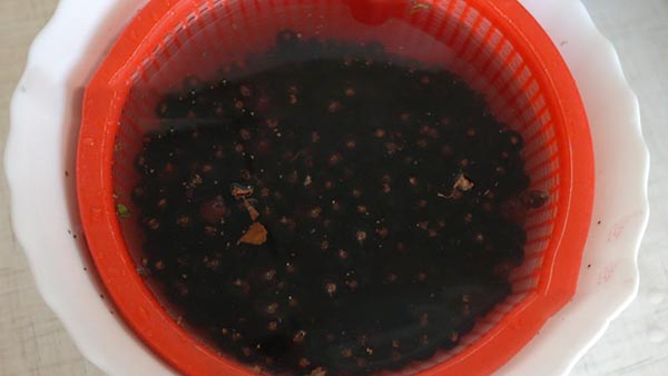 Vin med socker för vintern utan att laga mat, Pyatiminutka, frusen. Currant recept, riven med socker för vinter (utan kylskåp)