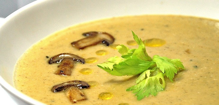 Soup från björkbark: recept med foto
