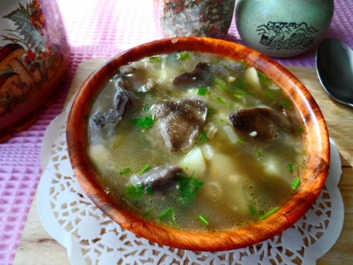 Soup från björkbark: recept med foto