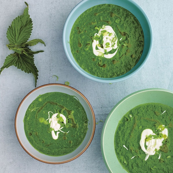 Grön soppa från sorrel