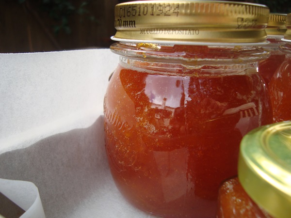 Aprikos sylt - kungligt recept