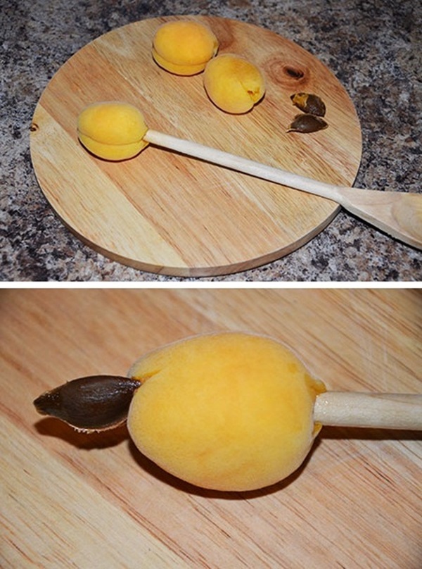 Aprikos sylt - kungligt recept
