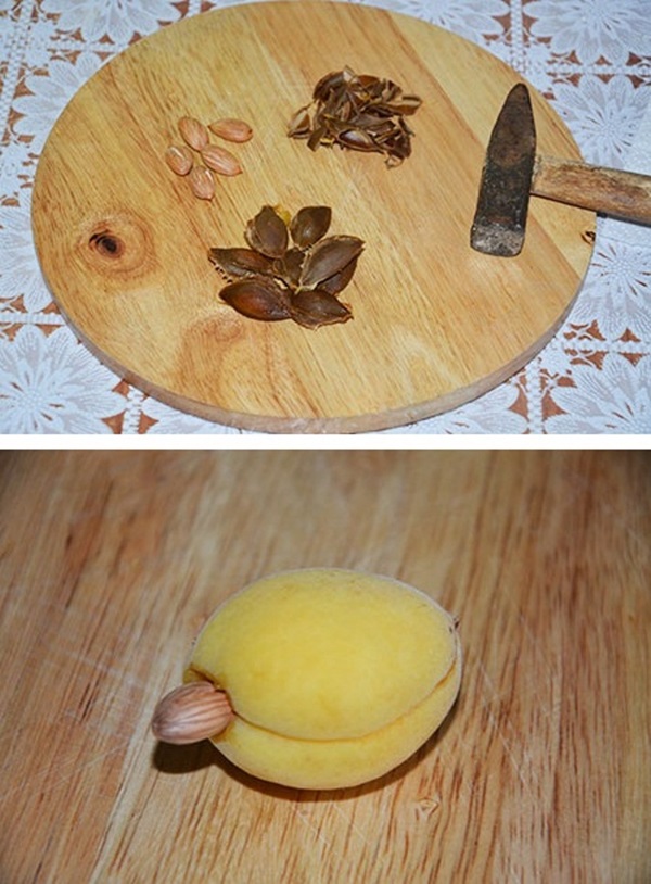 Aprikos sylt - kungligt recept