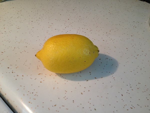 Jam från melon och melonkorsa till vinter - enkla recept