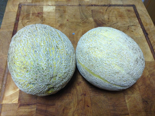 Jam från melon och melonkorsa till vinter - enkla recept