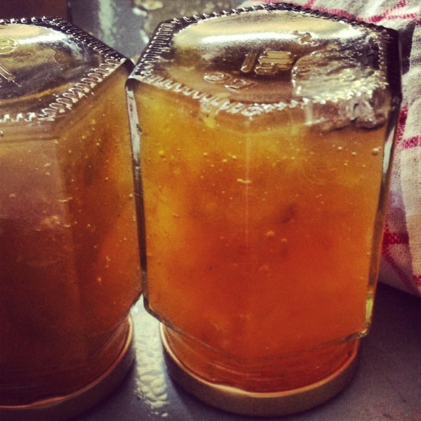Jam från melon och melonkorsa till vinter - enkla recept