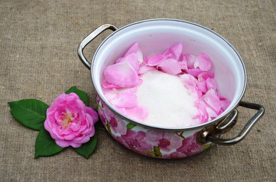 Receptet av klassisk sylt från rosor