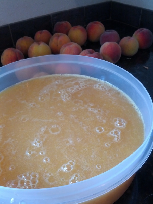 Så brygga sylt från en plommon med en sten och pitted - enkla recept