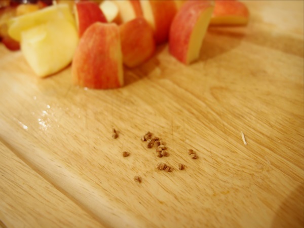 Så brygga sylt från en plommon med en sten och pitted - enkla recept