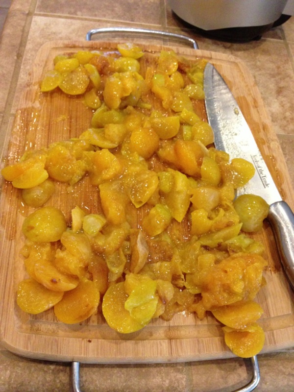 Så brygga sylt från en plommon med en sten och pitted - enkla recept