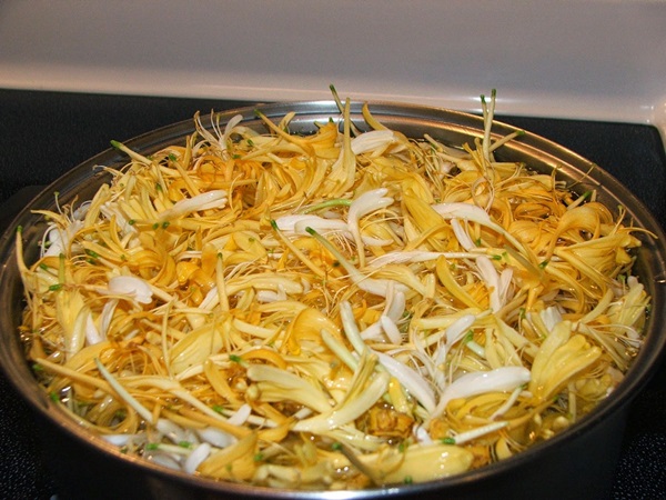 Honeysuckle sylt