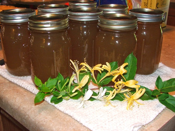 Honeysuckle sylt