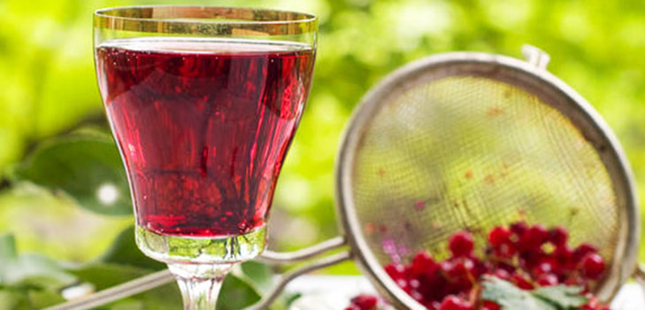 Vin från vinbäret i hemmet - svart, vitt, rött, utan jäst och med dem. Enkla och traditionella recept av vinbär med vinbär Vin från vinbäret i hemmet - svart, vitt, rött, utan jäst och med dem. Enkla och traditionella recept av vinbär med vinbär