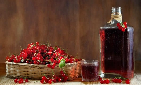 Vin från vinbäret i hemmet - svart, vitt, rött, utan jäst och med dem. Enkla och traditionella recept av vinbär med vinbär Vin från vinbäret i hemmet - svart, vitt, rött, utan jäst och med dem. Enkla och traditionella recept av vinbär med vinbär